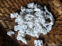 Enak Tenan! Gurih Renyah Geblek  Disantap dengan Tempe Benguk Besengek 