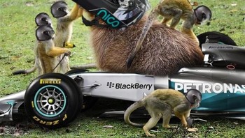 Kreatif! mereka jadi satu tim di kompetisi balap mobil. (Foto: Internet)
