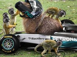 Kocak! Foto Hasil Editan Netizen Jago Photoshop
