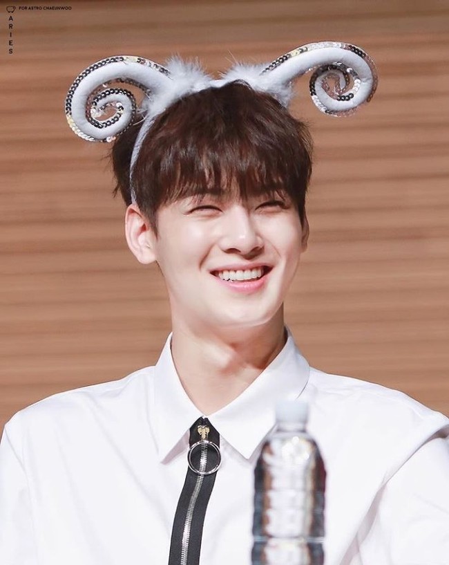 Presenter dan komedian ternama Hong Suk Chun, dalam sebuah variety show pernah menyebut kalau Cha Eun Woo adalah yang paling tampan di antara idol lainnya. Kamu setuju? Foto: Ist.