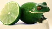 Kalau ini pasti bisa tebak kan? Katak dan irisan jeruk nipis jadi karya Photoshop menarik. Foto: Designcrowd