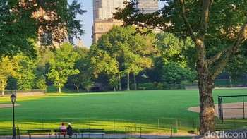 Foto di Central Park ini menunjukkan gradasi warna hijau yang memukau. Foto: detikINET/Meliyanti Setyorini
