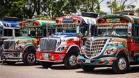 Bus Ayam di Amerika Tengah. Bus-bus berwarna cerah ini telah menjadi transportasi andalan bagi para pelancong di Amerika Latin. Bagi penduduk setempat di tempat-tempat seperti Guatemala atau Panama, bus-bus ini merupakan sarana transportasi yang penting dan terjangkau yang membawa mereka dari desa ke desa. Bus mendapat julukan dari ayam-ayam yang terkadang dibawa ke atau dari pasar. Istimewa/Joseph Mortimer-Shutterstock.