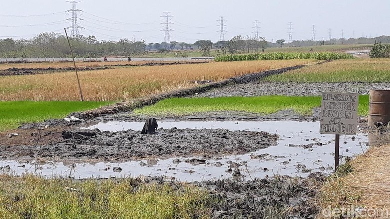 Semburan Air Bercampur Pasir Gegerkan Warga Ngawi Akhirnya Berhenti Semburan Air Bercampur Pasir Gegerkan Warga Ngawi Akhirnya Berhenti