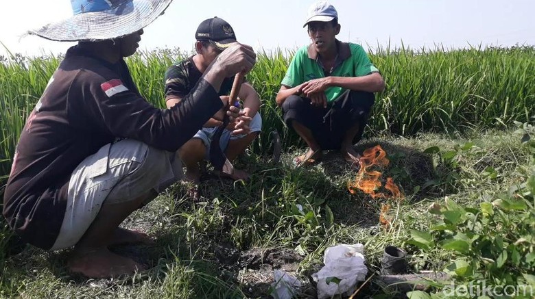 Semburan Air di Ngawi Berhenti, Namun 2 Titik Gas Baru Muncul Semburan Air di Ngawi Berhenti, Namun 2 Titik Gas Baru Muncul