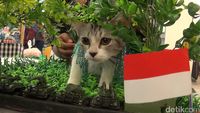 (Nandhang Astika/detikTravel)