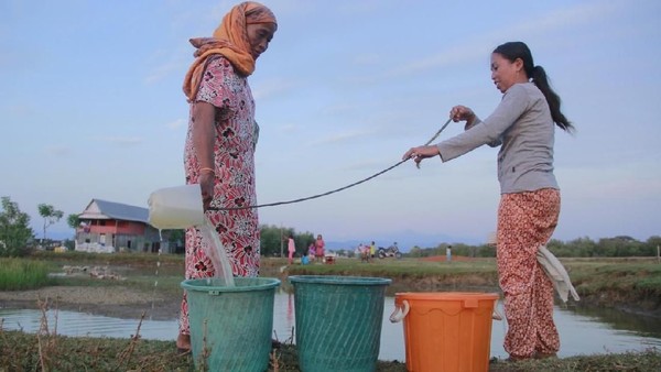 Potret Warga Sulsel Berburu Air di Empang Bersaing dengan Bebek