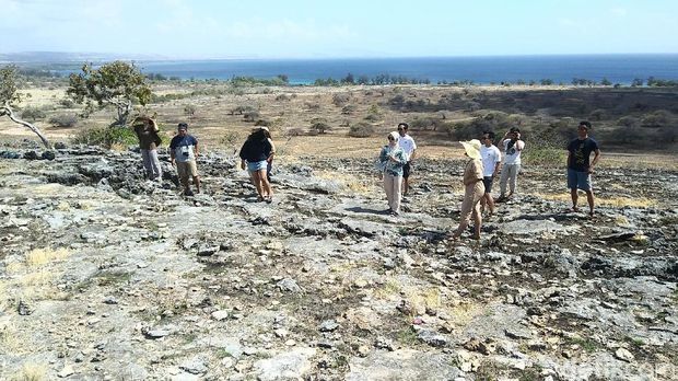 Hari Keempat di Sumba, Para Agus Terpesona Puru Kambera