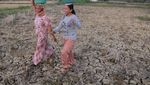 Potret Warga Sulsel Berburu Air di Empang Bersaing dengan Bebek