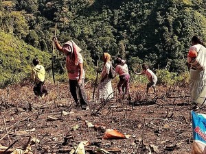 Atasi Kemarau, Pejabat Kementan bakal Turun ke Sawah