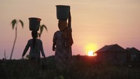  Buka hanya sekali, mereka harus pulang balik hingga dua atau tiga kali setiap  pagi dan petang.