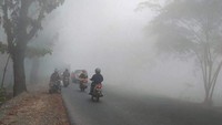 Penampakan asap pembakaran lahan dan hutan di Pontianak (Foto: Twitter @Sutopo_PN)