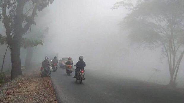 Kebakaran Hutan di Kalbar, Pemerintah Diminta Buat Rekayasa Cuaca