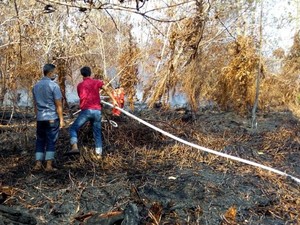 KLHK Waspadai Hotspot Kebakaran Hutan dan Lahan di Bulan Agustus