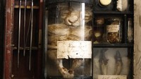 Foto: Koleksi ini tak diketahui keberadaannya sampai tahun 2017. Ketika ditemukan, koleksi-koleksi Rodder dijadikan museum dan diberi nama Obscurum. (visitlolland-falster.com)