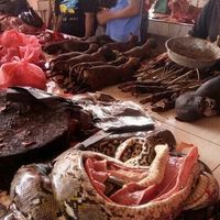 Jelajahi 5 Pasar Tradisional Indonesia yang  Legendaris dan Unik 