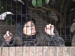 Foto Kocak Nenek Usia 90 Tahun Hobi Photoshop