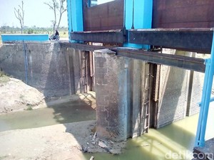 Bendungan Banjir Wilalung Kudus Sudah 2 Bulan Mengering