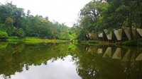 Bukan hanya Dieng saja yang punya Telaga Warna, Puncak juga punya. Berlokasi dekat rumah makan legendaris Rindu Alam, konon Danau Telaga Warna di Puncak juga dapat berubah warna (Dewi/dTraveler)