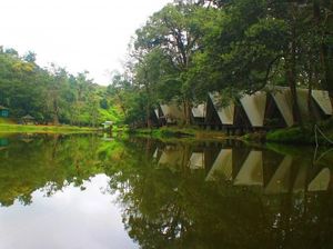 Foto: Aneka Objek Wisata Asyik di Puncak