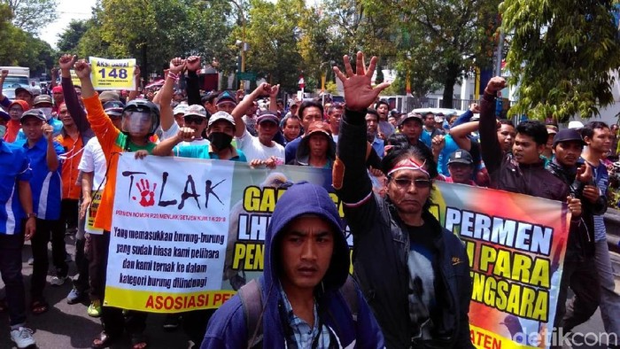 Penghobi Burung Kicau Di Klaten Dan Sragen Aksi Tolak Permen Lhk
