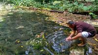 Cerita Mistis dari Gunung Dukuh Ciamis