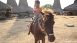 Foto: Kampung Adat Terindah di Sumba