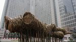 Penampakan Bambu Getah Getih Sebelum dan Sesudah Dibongkar