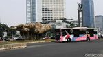 Penampakan Bambu Getah Getih Sebelum dan Sesudah Dibongkar