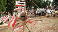 Panjat pinang merupakan salah satu perlombaan favorit di acara peringatan HUT RI. Tak heran jika batang panjat pinang selalu diburu menjelang perayaan tersebut.