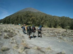 Wah, Kuota Pendaki Gunung Semeru untuk 17 Agustus Sudah Full