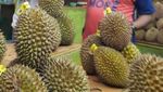 Di Saat Ali Ngabalin Makan Duren dan Sarapan Bareng Ayu Azhari