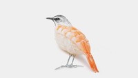 Saat sebuah sushi berubah menjadi seekor burung. Istimewa/Boredpanda.
