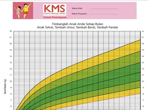 Sudahkah Bunda Pantau Perkembangan Anak dengan KMS 