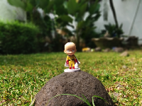 Kamera belakang Redmi S2 Bokeh di luar ruangan / Foto: Xiaomi