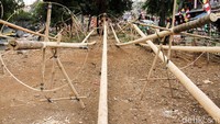 Tinggi batang itu sekitar 10 meter sampai 12 meter.