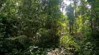 Cerita Mistis dari Gunung Dukuh Ciamis