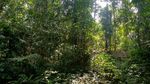 Foto: Cerita Mistis Gunung Dukuh dan Mata Air Keramat