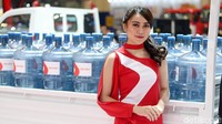 Isuzu tidak hanya memamerkan mobil komersial, berbagai pilihan modifikasi terbaik juga ikut disajikan.