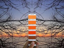 Keren! Ketika Panduan Warna Pantone Disatukan dengan Alam