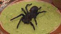 Restoran Meksiko Ini Dikecam Karena Sajikan Tarantula Langka yang Dilindungi
