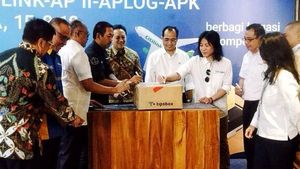 Pemanfaatan Bagasi Penumpang untuk Kirim Barang