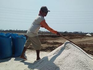 Pemerintah Bakal Jadikan NTT Sentra Produksi Garam Nasional