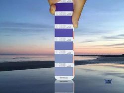 Keren! Ketika Panduan Warna Pantone Disatukan dengan Alam