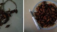 Bukan hanya namanya saja yang unik, bentuk dan rasa buah bemotong ini juga unik. Buah ini tumbuh bergerombol dan warnanya merah kecoklatan. Rasa buah ini manis dan ukurannya yang kecil bikin tak puas melahapnya. Foto: Istimewa
