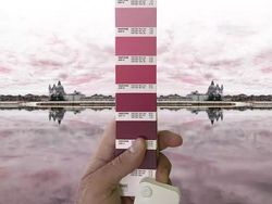 Keren! Ketika Panduan Warna Pantone Disatukan dengan Alam