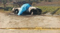 Satu regu polhut sedang berpatroli malam. Saat keluar hutan, tiba-tiba dihadang oleh kelompok beranggotakan sekitar 15 orang tak dikenal langsung menyerang mobil.   