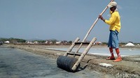 Memasuki musim panen, harga garam di Kabupaten Rembang, Jawa Tengah, justru merosot. Penurunan harga bahkan terjadi sampai separuh dari harga semula.