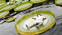 Suhu yang mulai meninggi dan kurangnya pasokan air akibat perubahan cuaca juga iklim yang tak menentu membuat festival unik ini terancam cuti untuk tahun depan. Tyrone Siu/Reuters.