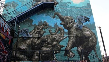 Ada gajah mau lompat nih. (Foto: Brightside)